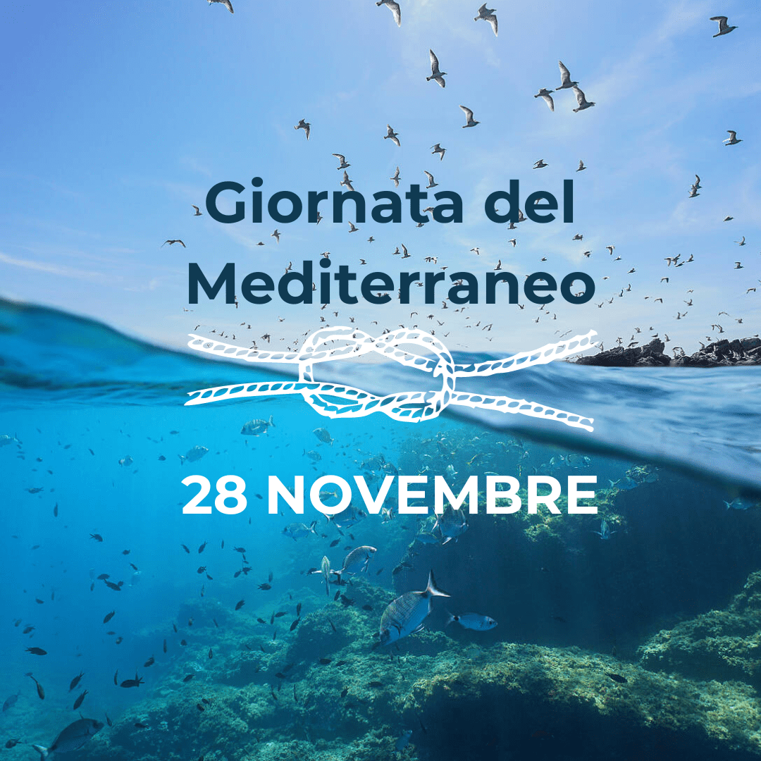 Giornata del Mediterraneo (1)