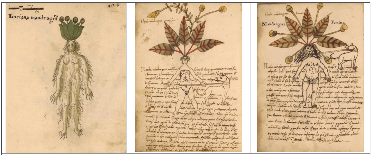 csm_Screenshot_2024-04-20_at_13.40.25_86860bf394